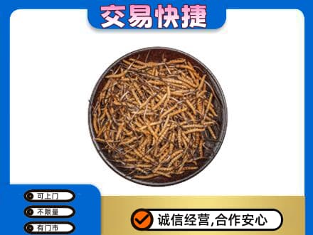 丽水市礼品回收虫草.jpg